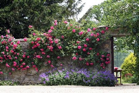 Lower Moor Farm Bed & Breakfast Malmesbury & Tetbury